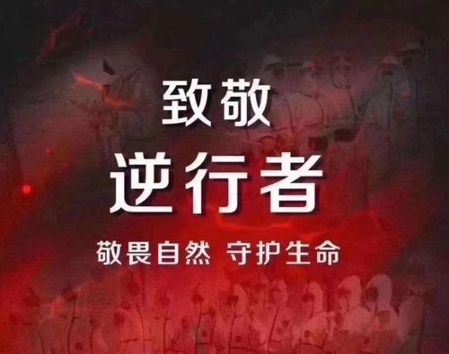 关于抗击疫情的正能量句子