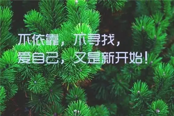富有哲理的句子