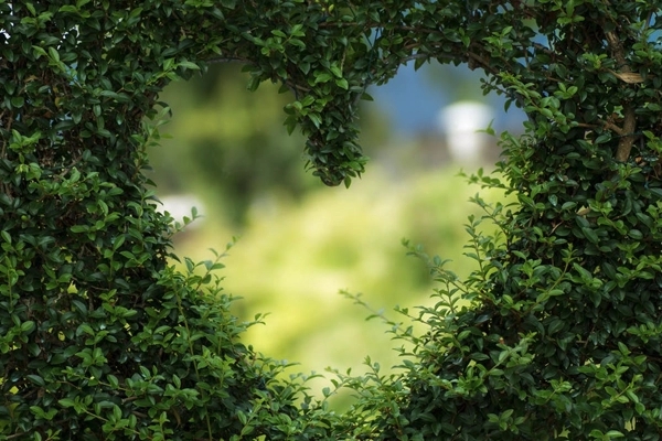 开心的句子说说心情