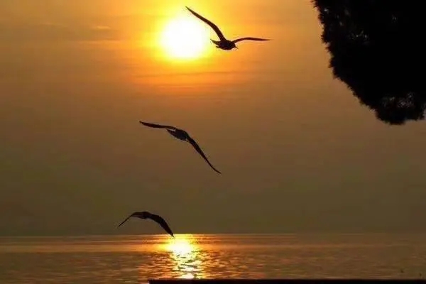 保险行业励志短句