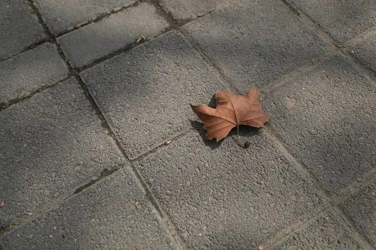 心情不好的句子发朋友圈