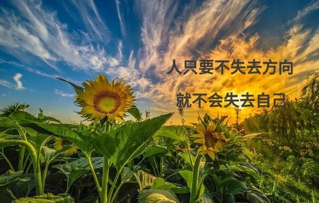 励志名言经典语录