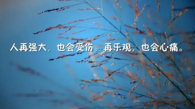 励志的句子经典语句