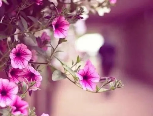 富有哲理的句子