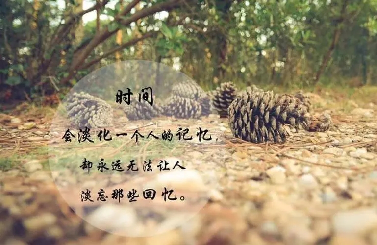 伤感的句子说说心情