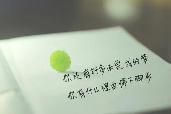 干净简短的励志句子