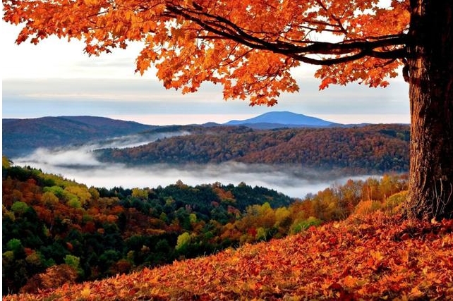 赞美秋天的优美句子