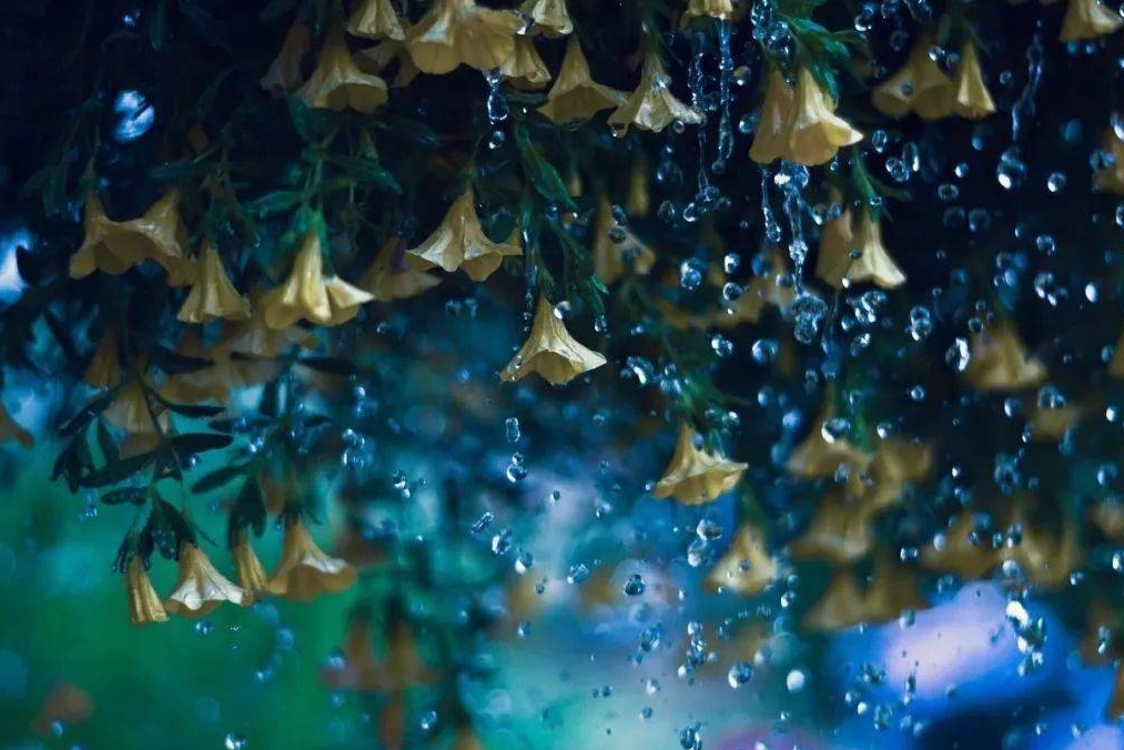 描写雨的优美句子