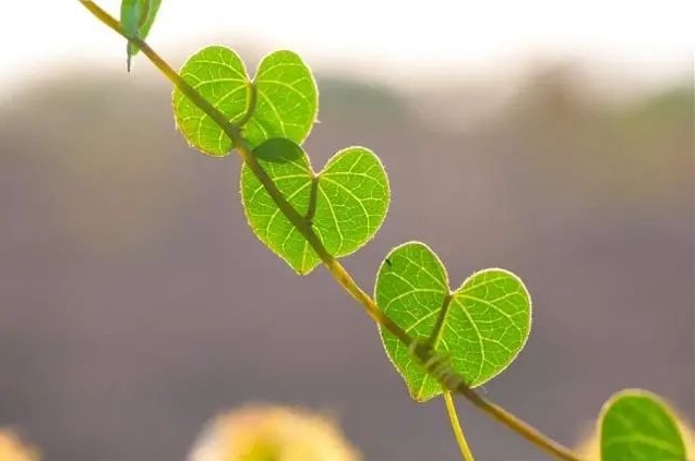 生活感悟经典句子