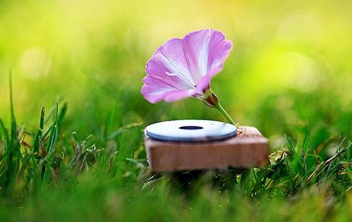 生活感悟的句子