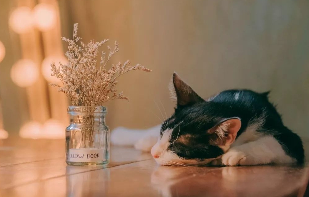 生活疲惫无助累的句子