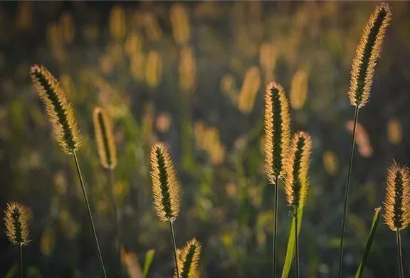 生活不易的说说心情句子