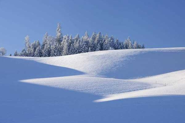 描写冬天的优美语句