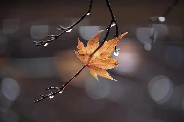 下雨天的心情经典句子