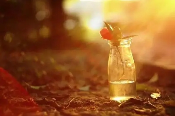 打动人心的情感语录