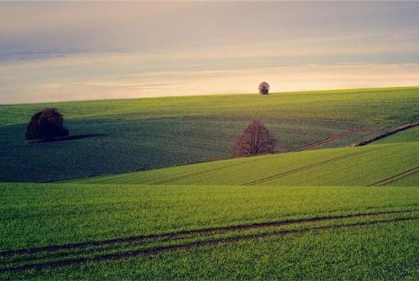 朋友最真诚的情感语录