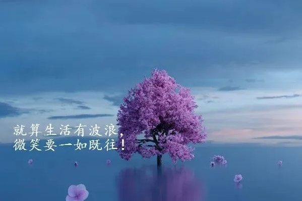 老年生活感悟经典句子