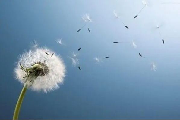 生活感悟经典句子简短