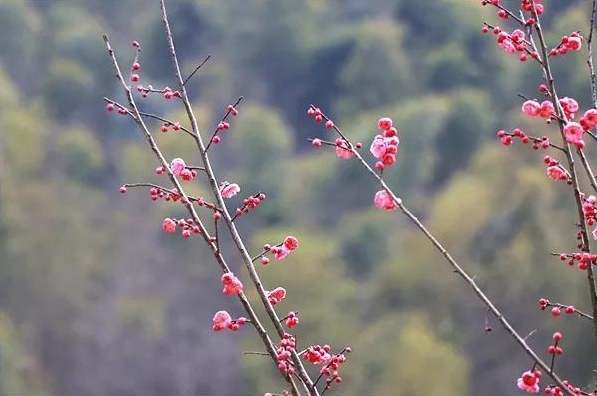 关于春天富有哲理的句子