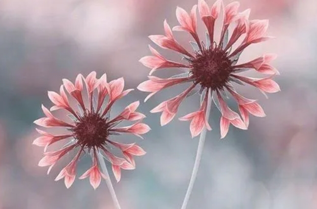 伤感的早安句子说说心情