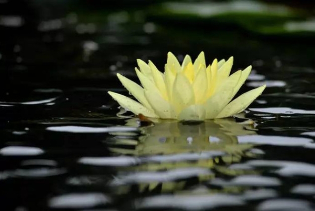 佛说人生感悟的句子