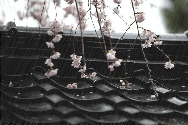 下雨天的心情经典句子正能量
