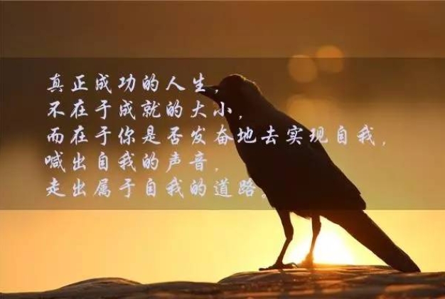 正能量句子励志短句子