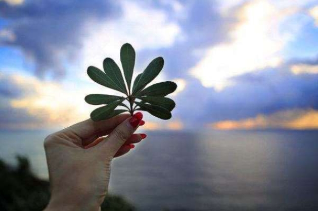 突然想发个感慨的说说