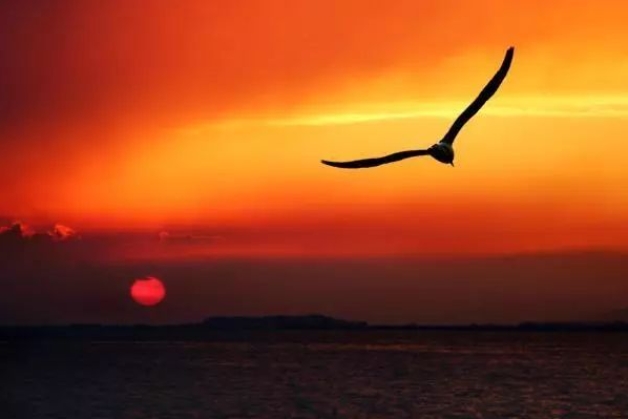 正能量的每日一悟