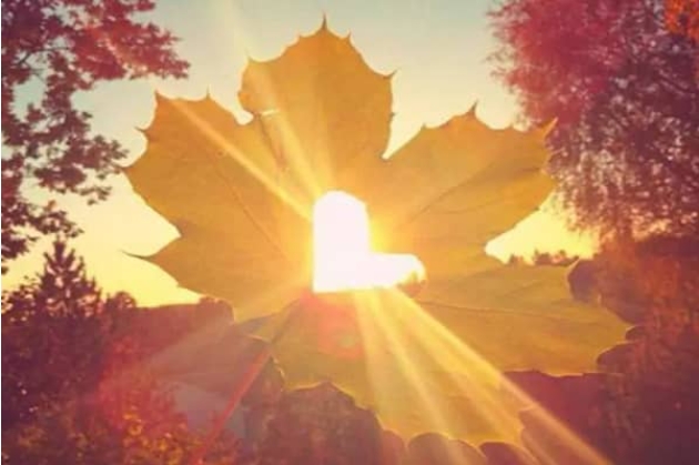 生活不易的句子正能量