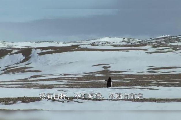 最让人心疼的伤感段子