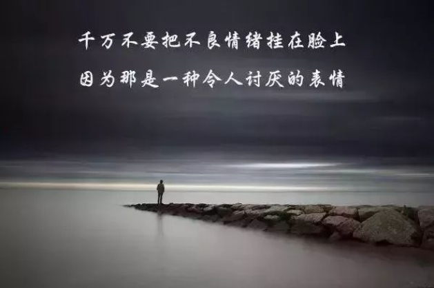 用文字表达自己的心情的句子