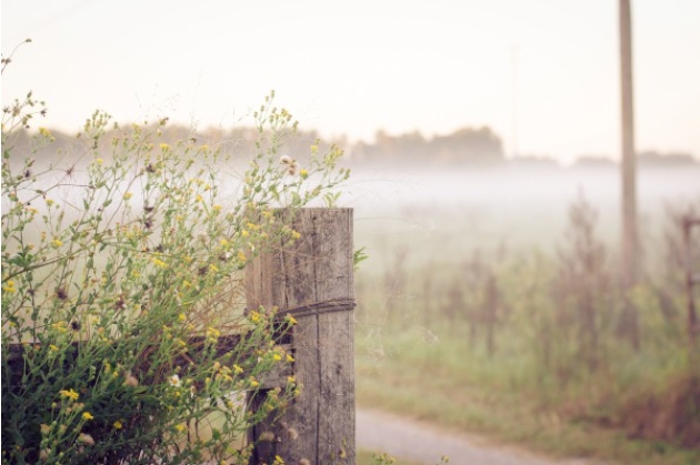 情感的句子经典语句发朋友圈
