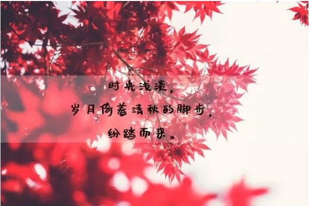 富有哲理的优美语段摘抄