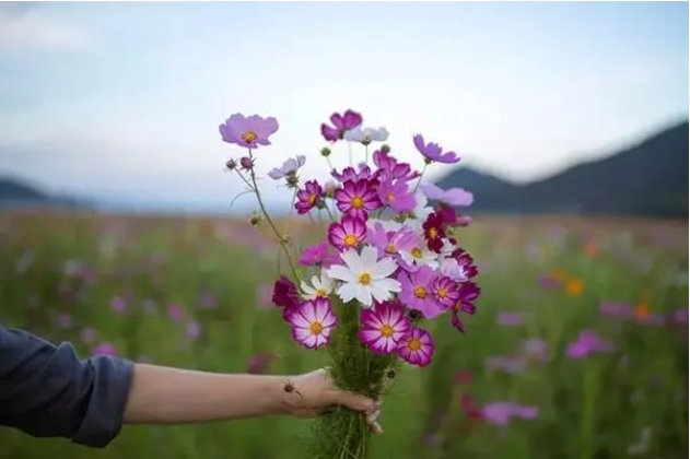 说说心情短语人生感悟生活现实短句