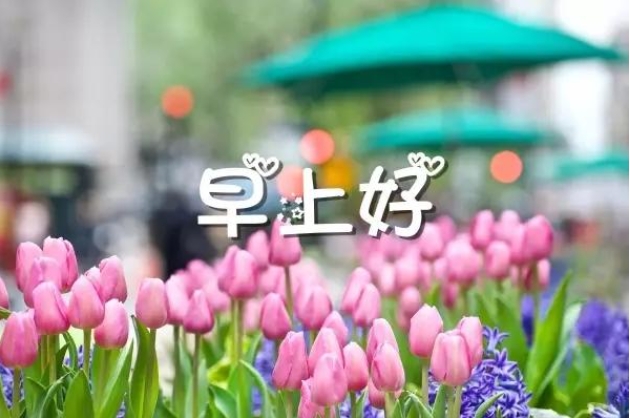 早安正能量朋友圈高质量句子