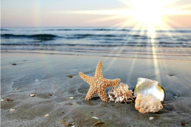 新的一年新的开始正能量句子