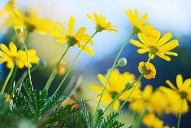 人生感悟深刻的句子