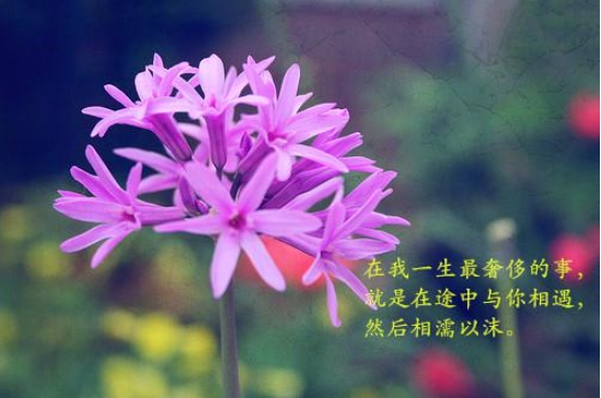 一个人晚上偷偷看的正能量句子