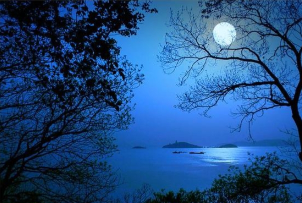 人生哲理精辟句子有哪些