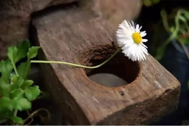 暗示不被在乎的伤感句子