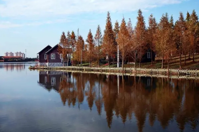 钓鱼心情好的句子和心情不好的句子