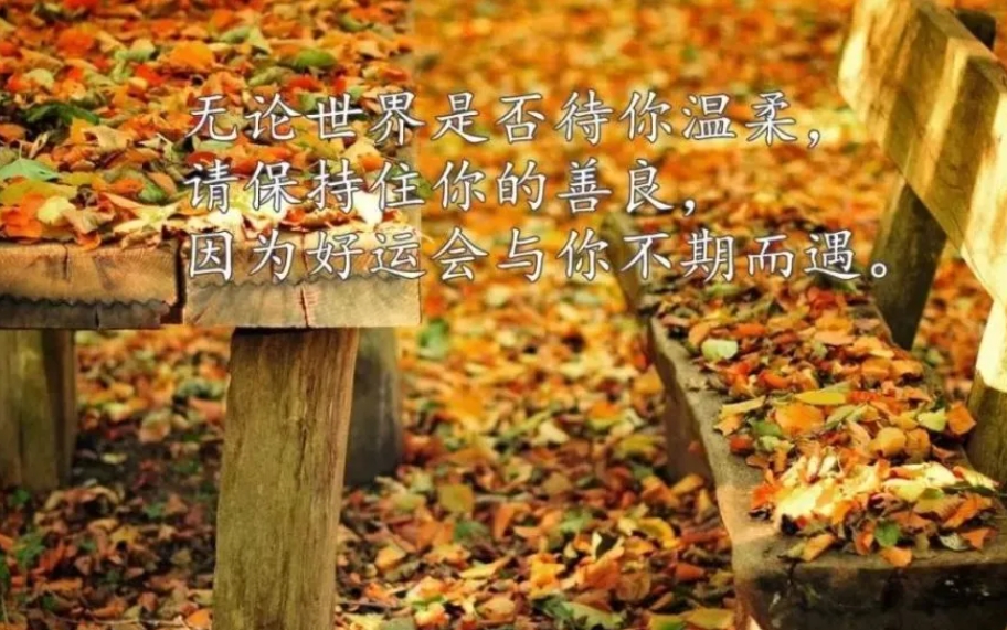 2023最火适合发朋友圈的句子说说