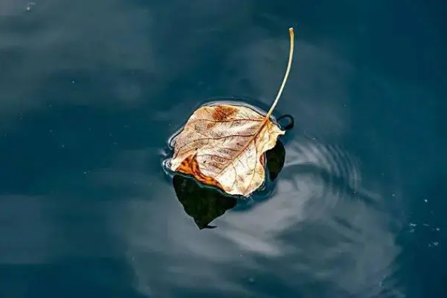 40岁女人感悟精致句子