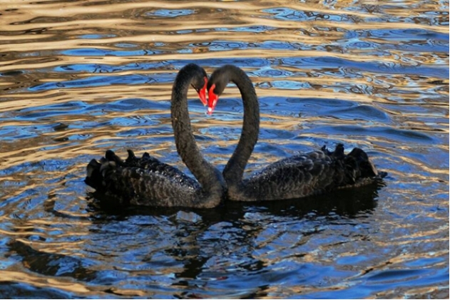 比较深奥的爱情句子