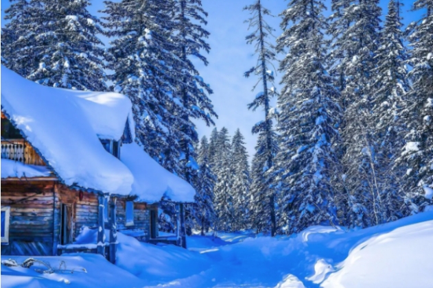 法语名言名句优美句子