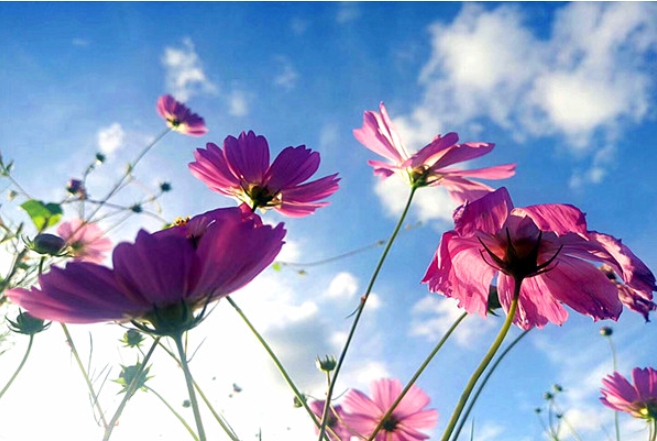 人到四十的精辟感悟句子