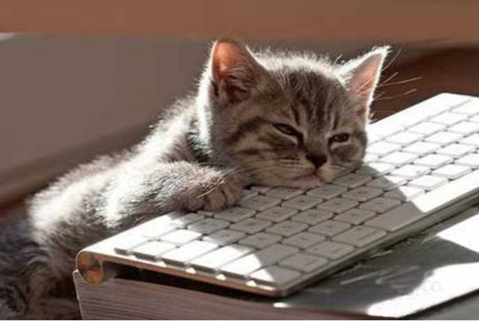 放慢脚步感受生活的慢节奏的句子