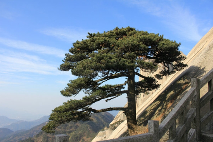 30个英语优美句子摘抄