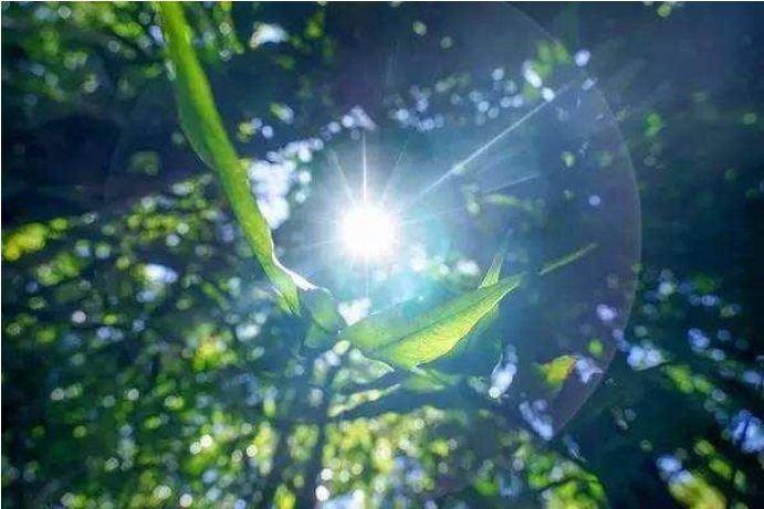 诚信做生意正能量的句子